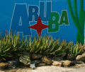 Aruba 2016-4
